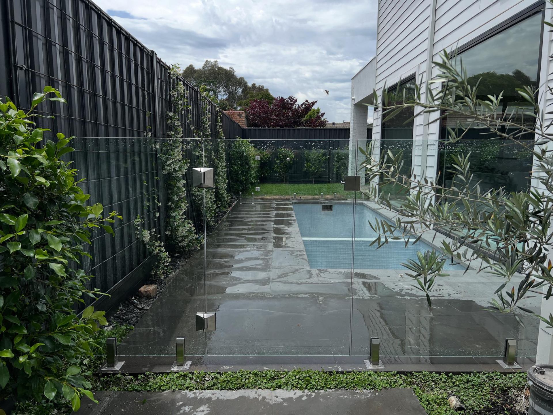 Frameless glass pool fence with stainless steel spigots around a landscaped pool